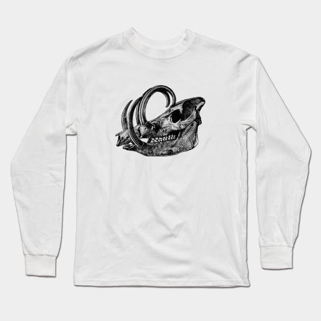 Babirusa Skull Long Sleeve T-Shirt by cavalaxis